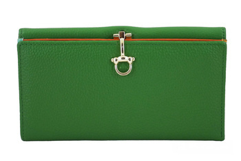 Velká peněženka se zlatým zapínáním - zelená