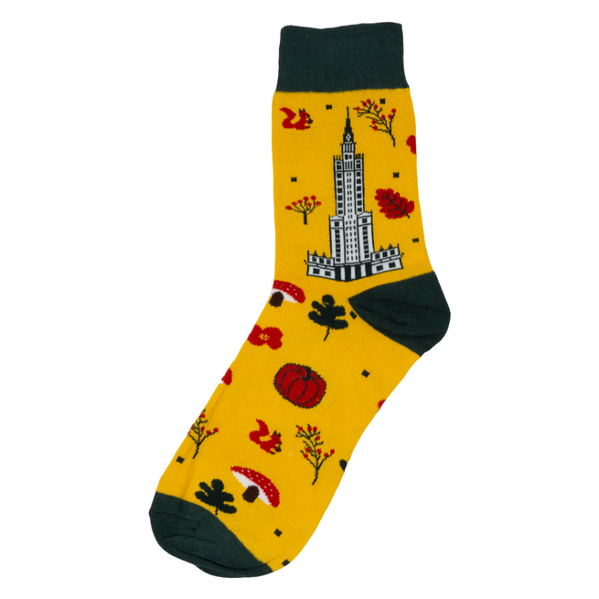 Pánské dlouhé bavlněné ponožky PAULAC