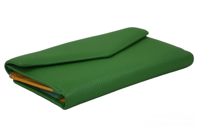 Velká peněženka se zlatým zapínáním - zelená