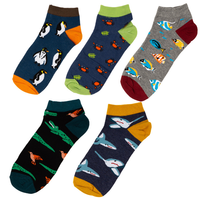 Skarpety męskie stopki bawełna zestaw 5 par 39-42