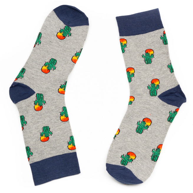 Pánské bavlněné ponožky KAKTUSY Coloured
