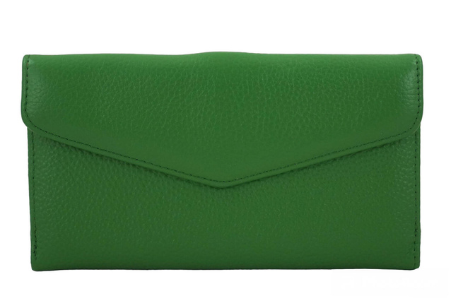 Velká peněženka se zlatým zapínáním - zelená